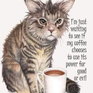 Meet your Posher, Vicky